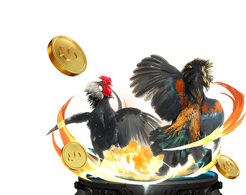 Đá gà chiến tại KC88 Win